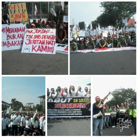Ribuan Buruh PT RAPP Tumpah Ruah Lakukan Unjukrasa